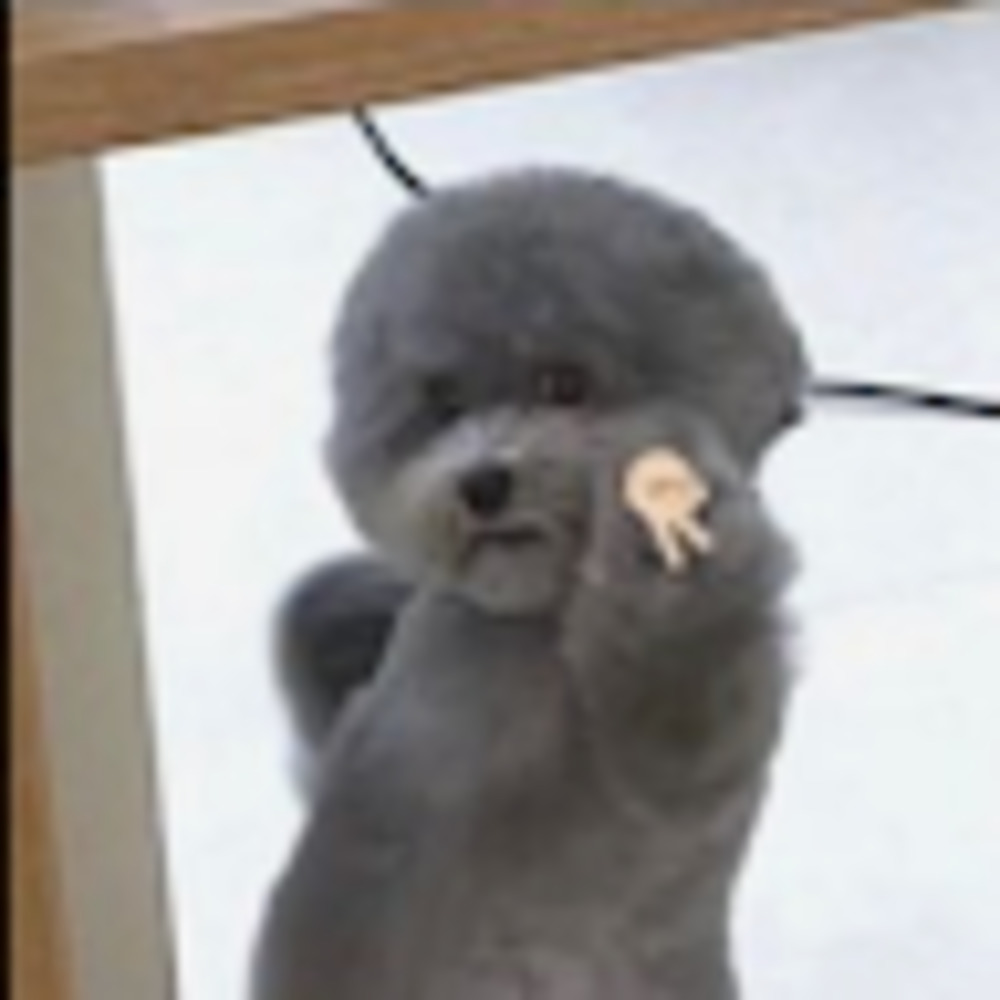 Meet your Posher, Nile